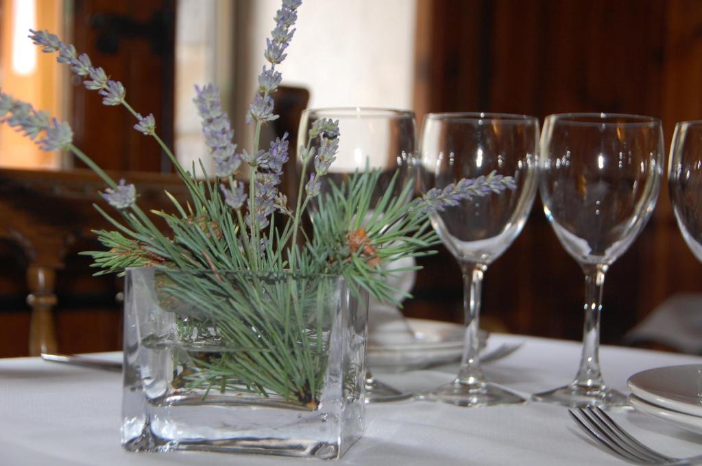 Hotel Roya Espot Εξωτερικό φωτογραφία
