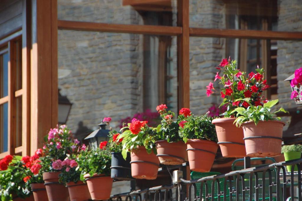 Hotel Roya Espot Εξωτερικό φωτογραφία